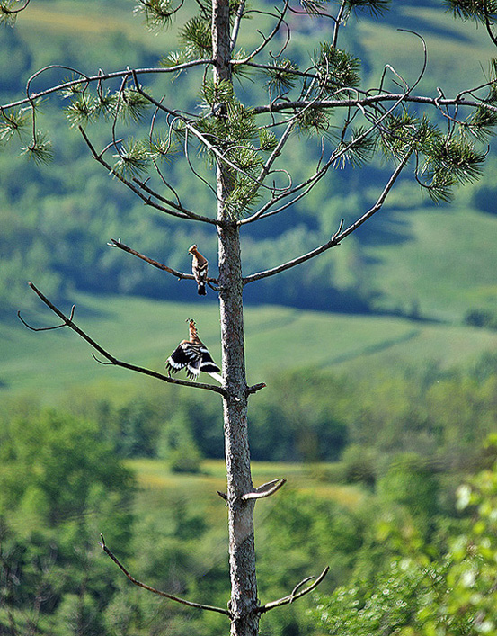 Oasi naturalistica del Carmine